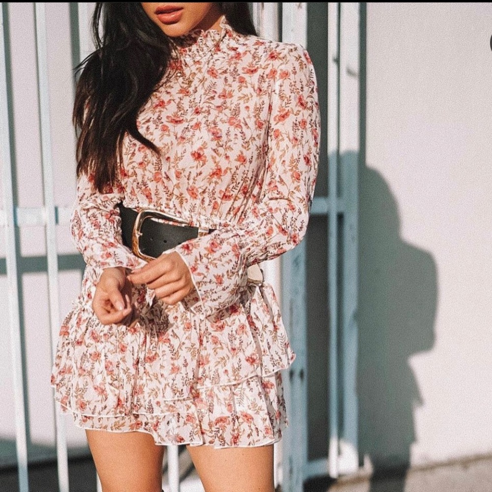 SHEER RUFFLED PRINCESS POLLY DRESS